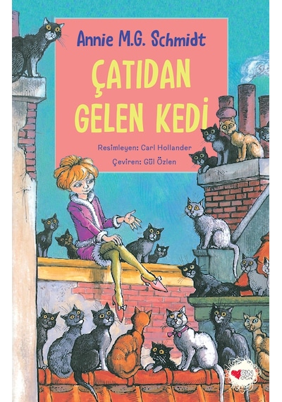 Çatıdan Gelen Kedi