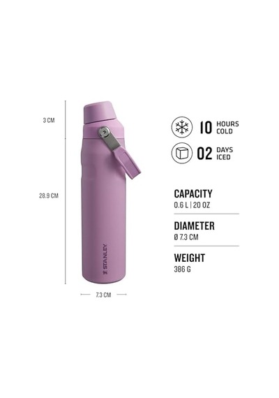 Aerolight Iceflow Fast Flow İçecek Şişesi, 0.60 Litre, Lila Açık Beyaz