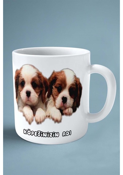 Spaniel Köpek Isimli Kişiye Özel Baskılı Kupa Bardak Ikizler Çok Renkli