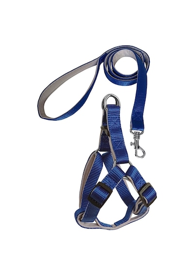 Markapet Gezdirme Kayışlı Dokuma Köpek Göğüs Tasma Seti Mavi 73-110 CM Mavi