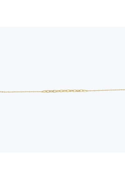 Altınbaş Altın Zincir Bileklik Blıntgk005-25295 Çok Renkli
