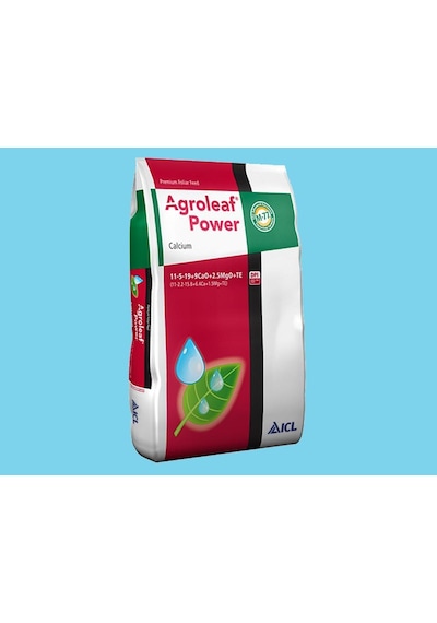 Agroleaf Power 11.05.19+9Cao+2.5Mgo+Te 2 KG