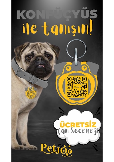 Petjoo 9.Konfüçyüs Sarı-Gri Qr'lı Köpek Künyesi