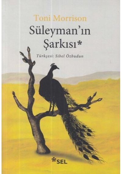 Süleyman In Şarkısı - Kyut-762248