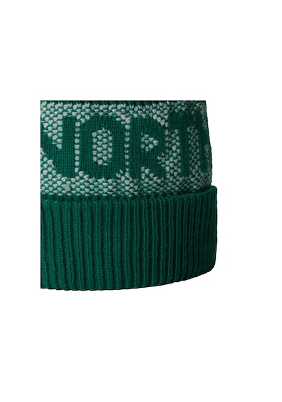 The North Face Retro Cabın Bere Nf0a88qw84o1 Yeşil