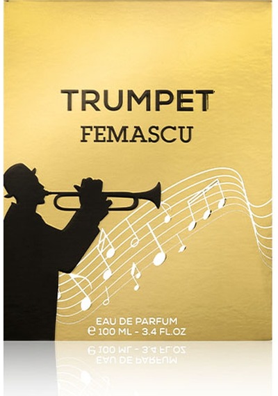 Femascu 6519 Erkek Parfüm EDP 100 ML
