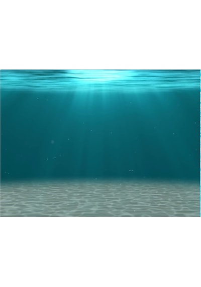 Kanki Pet KP8550006 Akvaryum Arka Fon Yapıştırma 85 CM
