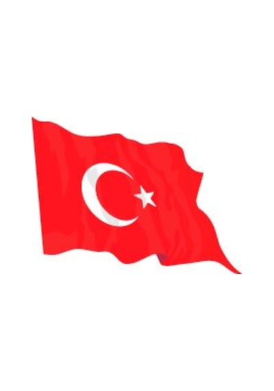 Bay Etiket Cfl13 Gercekci Efekt Dalgalanan Turk B. Sticker
