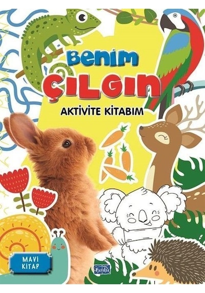 Benim Çılgın Aktivite Kitabım - Mavi Kitap / Kolektif