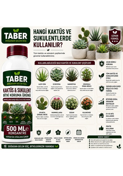 Taber Kaktüs & Sukulent Bitki Bakım Ürünü 500 Ml Konsantre Kaktüs Ve Sukulentler İçin Yapraktan Uygulama Diğer