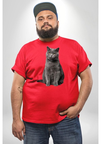 Angemiel British Shorthair Kedi Kırmızı Büyük Beden Erkek Kadın Unisex Basic Ön Baskılı Tişört Kırmızı