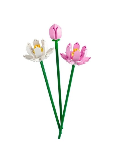 Iconıc 40647 Lotus Flowers 220 Parça