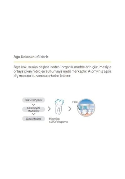 Atomy Kore Propolis Ve Yeşil Çay Özlü Diş Macunu 200gr 5li Set Paket