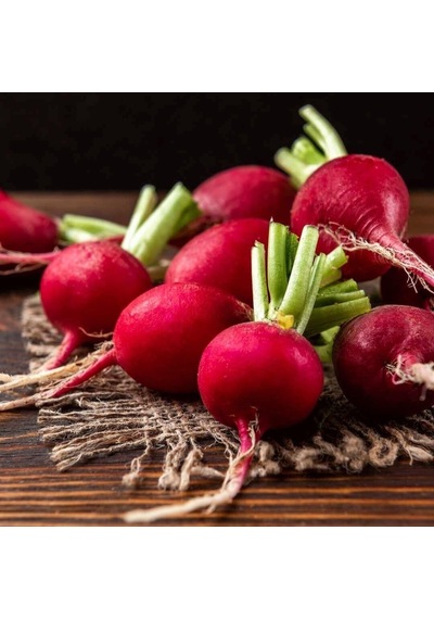 Doğal Big Red Turp Tohumu 25 Tohum 1 Paket