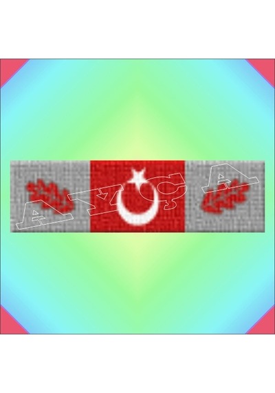 Muharebe Yaralisi Şerit Rozeti Gümüş