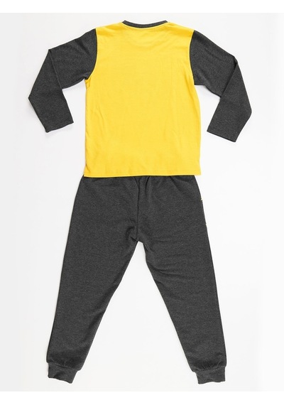 Denokids Mushi Explore Africa Erkek Çocuk Jogger Takım Çok Renkli