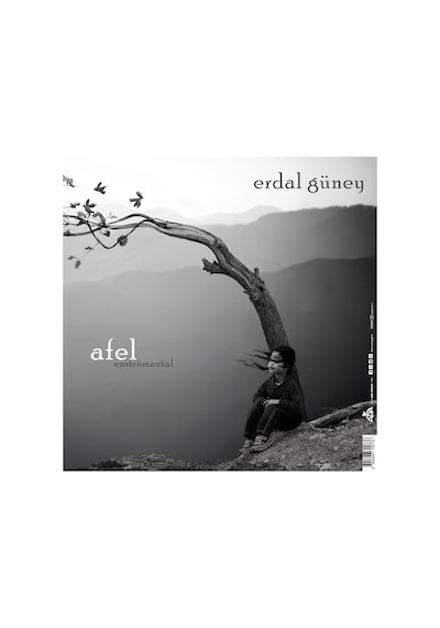Erdal Güney - Perihel-afel Enstrümantal Plak