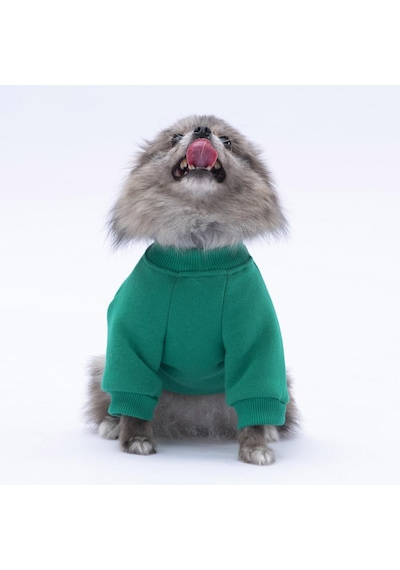 Yeşil Chongqing Kedi Köpek Sweat- Kedi Köpek Kıyafeti