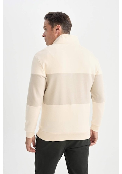 DeFacto Comfort Regular Fit Rahat Kalıp Dik Yaka Fermuarlı Çizgili Kalın Sweatshirt D2401AX24AUER42