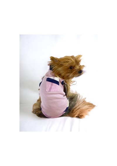 Light Purple Bb Atlet Köpek Kıyafeti Köpek Elbisesi