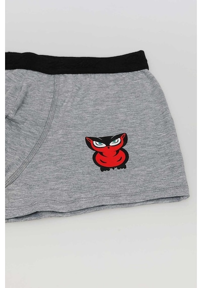 Redowl Baykuş Baskılı Gri 2'Li Boxer Gri