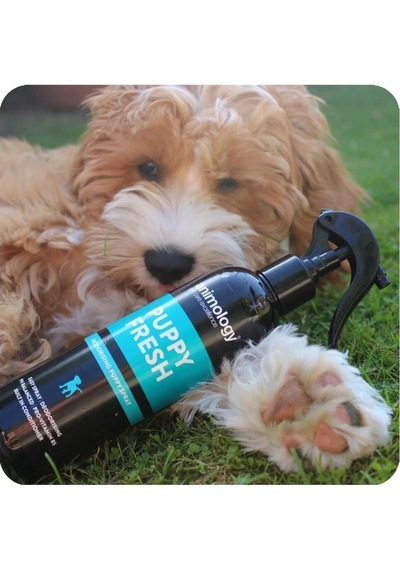 Puppy Fresh Kötü Koku Giderici Yavru Köpek Bakım Ve Tarama Spreyi 250 Ml