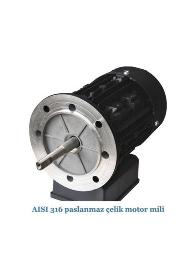 Gemaş Havuz Pompası Streamer Mini 1 Hp 380 Volt