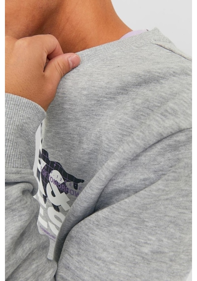 Jack & Jones Jack&jones Jcodust Sweat Crew Neck Grimelanj 001