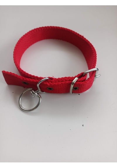 Kozaklı Orta Irk Köpek Tasması Kırmızı 60 x 3 CM