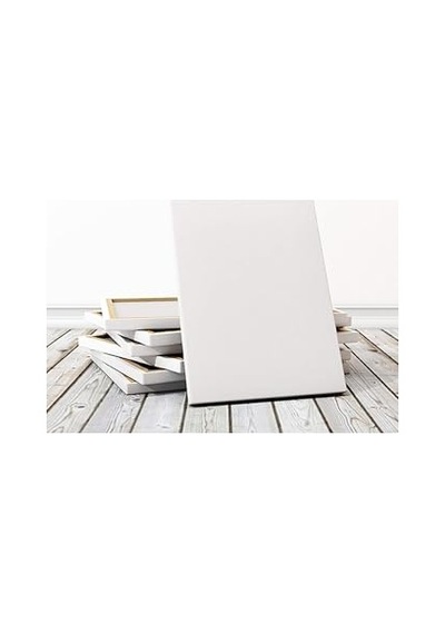 Lona Profesyonel Tuval 35x50
