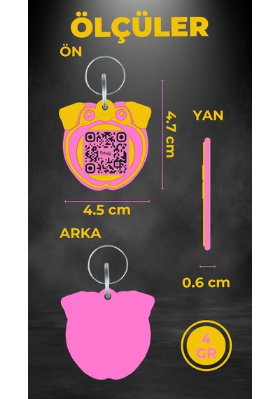 Petjoo 9.Konfüçyüs Pembe-Sarı Qr'lı Köpek Künyesi