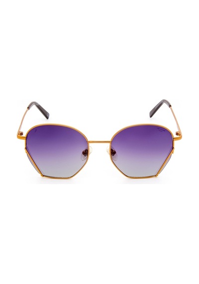 Lee Cooper 1234 C2 54-19 Kadın Güneş Gözlüğü Altın
