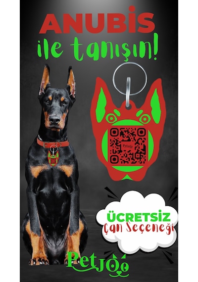 Petjoo 30.Anubis Yeşil-Kırmızı Qr'lı Köpek Künyesi