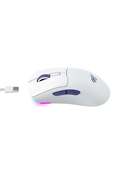 Havit Gamenote MS966WB Profesyonel RGB Wireless Optik Oyuncu Mouse