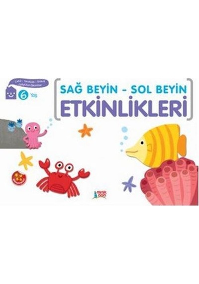 Sağ Beyin Sol Beyin Etkinlikleri 6 Yaş - Minik Ada Yayınları