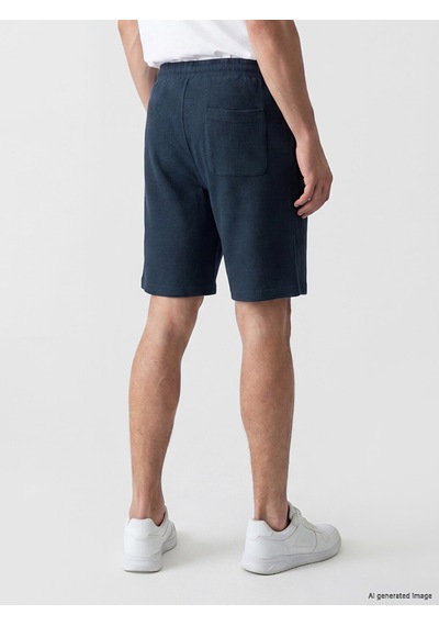 Lcwaıkıkı Classic Petrol Regular Fit Erkek Şort