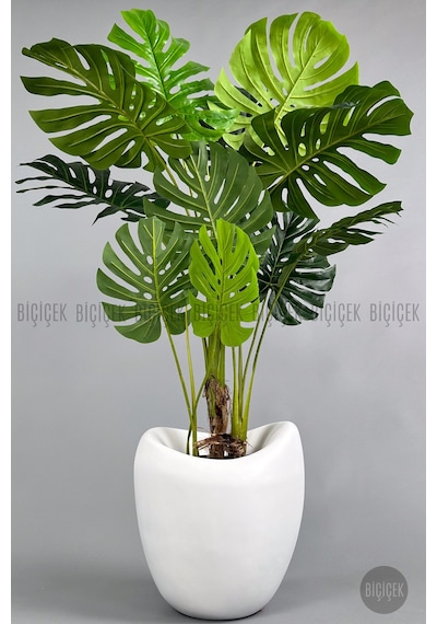 Yapay Monstera Ağacı Deve Tabani 170 Cm Beyaz Lale Saksıda