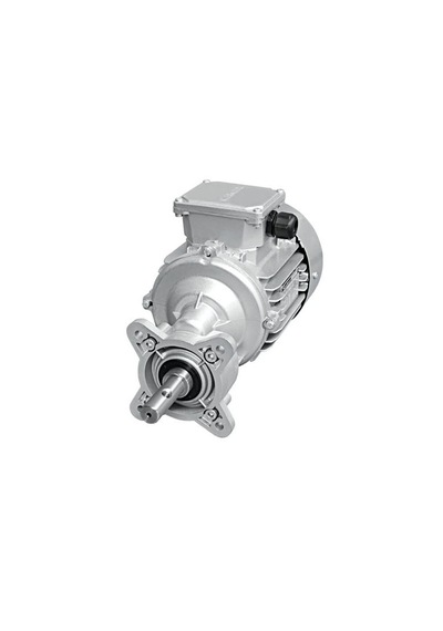 Tavukçu Tip Redüktör Yemlik Redüktör 0,75 Kw