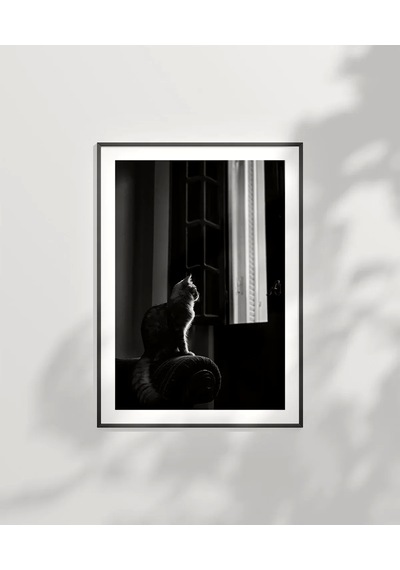 Çerçevesiz Poster Pencere Önünde Düşler