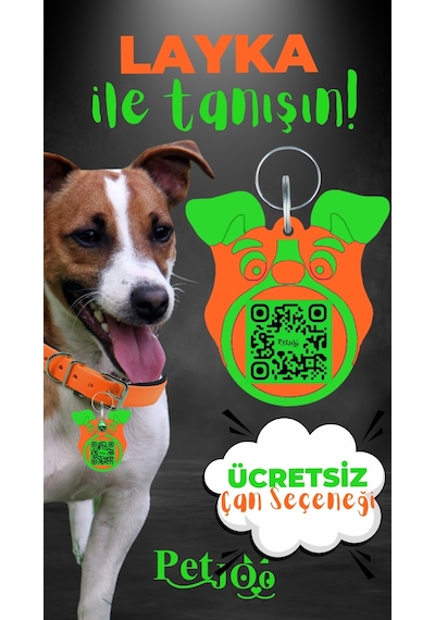 Petjoo 22.Layka Yeşil-Turuncu Qr'lı Köpek Künyesi