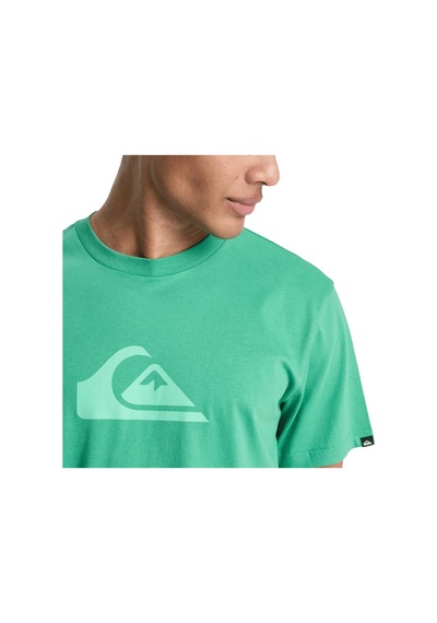Quiksilver Quıksılver Ev Comp Logo Gnz0 Yeşil