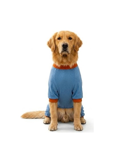 Mavi Ducks Pijama Orta Ve Büyük Irk Köpek Pijaması - Köpek Tulumu - Köpek Kıyafeti 15 Kg-45 Kg