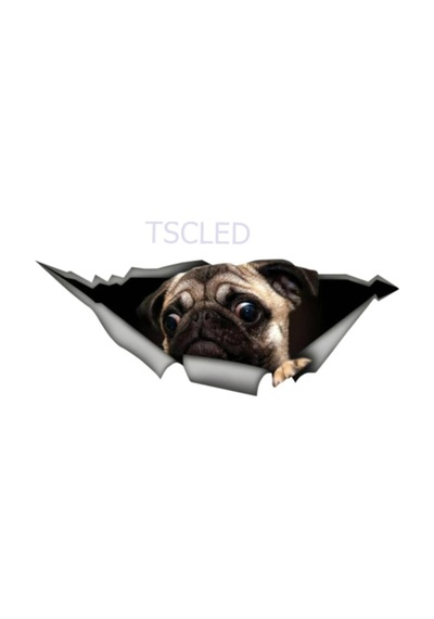 Pug Pet Komik Araba Sticker Kişiselleştirilmiş