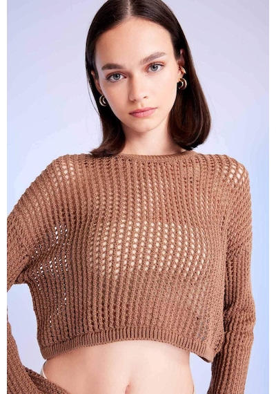 Defacto Regular Fit Bisiklet Yaka Kroşe Ajurlu Delikli Crop Triko Kazak T4513AZ24AUBG111 Bej