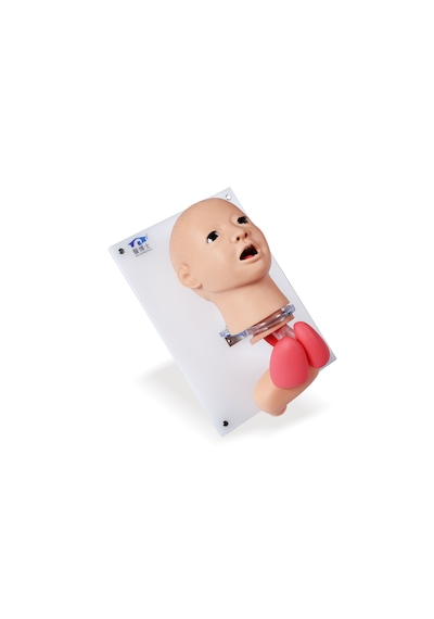Çocuk Endotrakeal Entübasyon Modeli - Çocuk Entübasyon Maketi 01