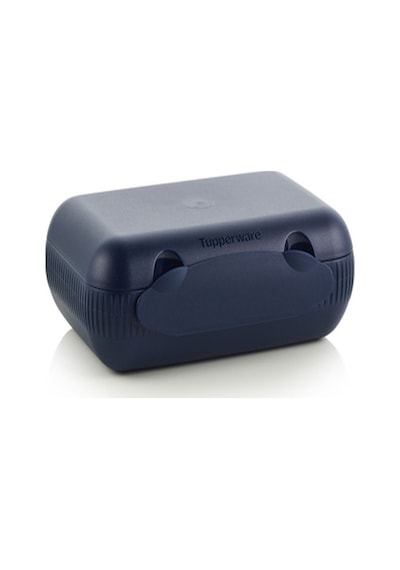 Tupperware Eco Beslenme Kutusu Lacivert Esc