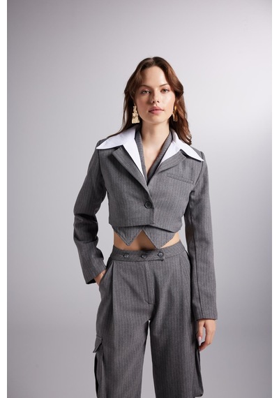 Holly Lolly Çıkarılabilir Gömlek Yakası Detaylı Çizgili Crop Kira Blazer Ceket Gri