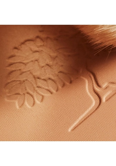 Poudre Eclat Prodigieux 25 G Diğer