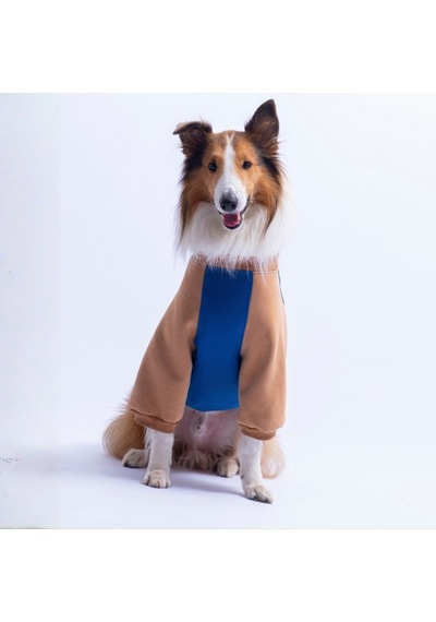Saks Mavi Boston Pawstar Sweat Orta-büyük Irk Köpek Sweatshirt Köpek Sweat Köpek Kıyafeti Saks Mavi Boston Pawstar Sweat Orta-büyük Irk Köpek Sweatshirt Köpek Sweat Köpek Kıyafeti