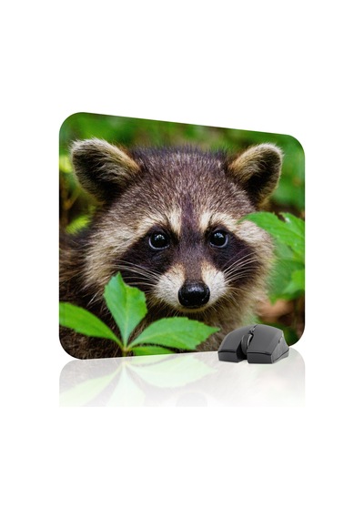 Rakun Kaymaz Dikişli Kauçuk Oyuncu Mousepad V3 - 48x40 Xl Gaming Mouse Pad Fare Altlığı
